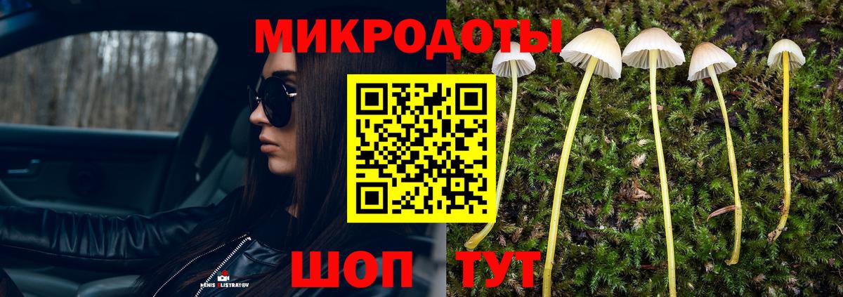 Шелехов  Галлюциногенные грибы Magic Shrooms  Вход с VPN 