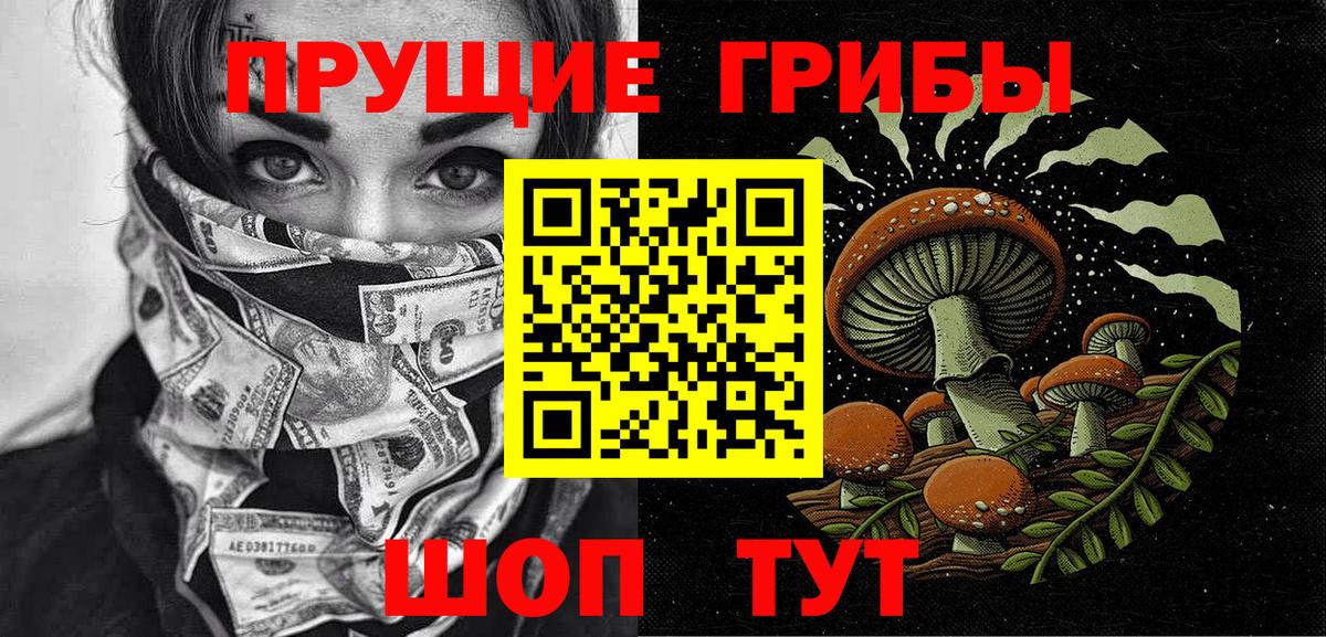 Псилоцибиновые грибы GOLDEN TEACHER Шелехов